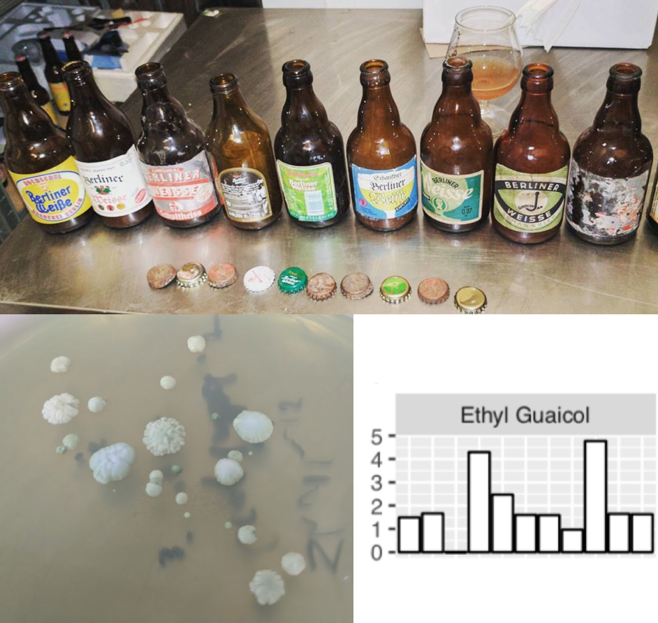 beer manufacturing process of brewing beer