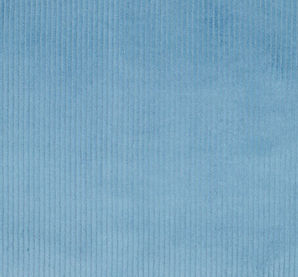 tissu-velours-cotele-coton-bleu_edited.jpg