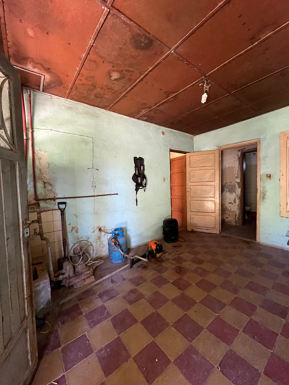 Miniatura: 🏡 Propiedad a remodelar en Carmen de Areco