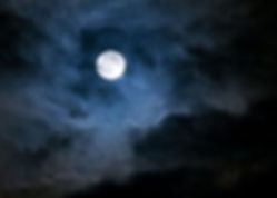 82296BD0-FE3B-4797-853D-6569AF75EC84_1_1