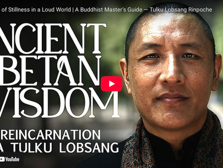 Doku-Film "The Art of Stillness in a Loud World"