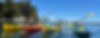 IMG_1883.jpeg