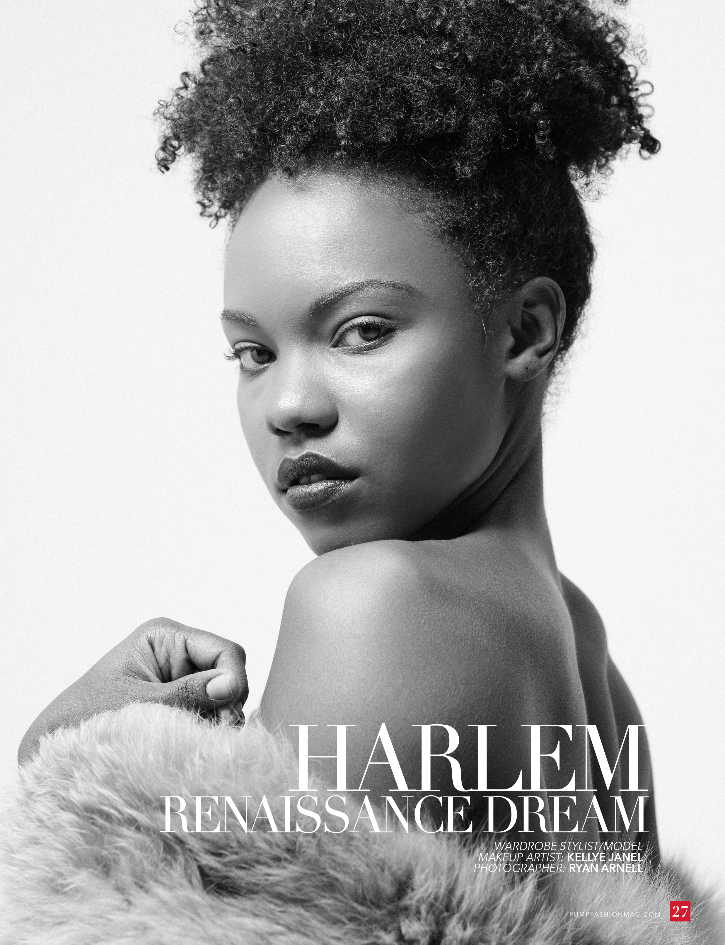 HARLEM RENAISSANCE DREAM