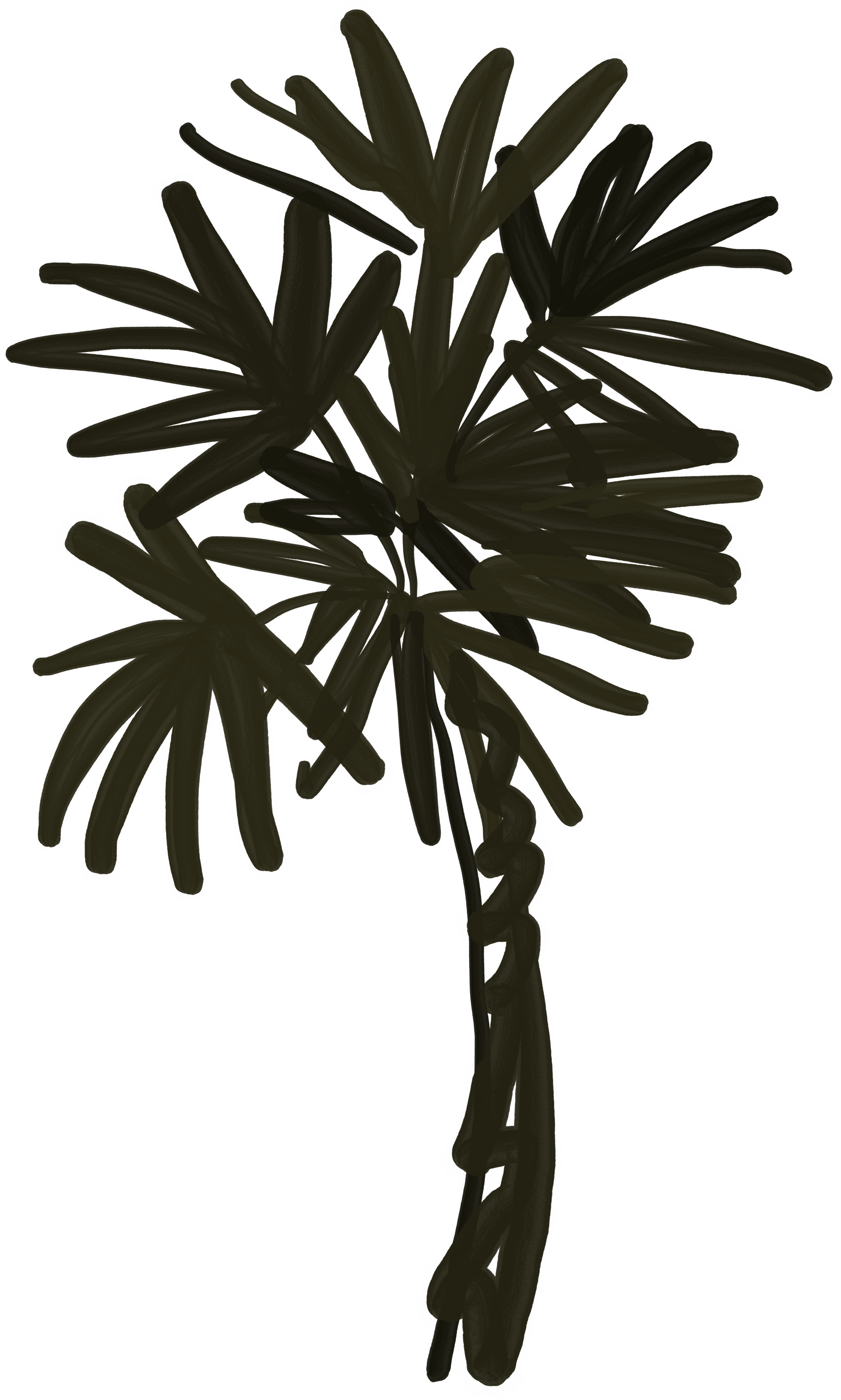 100.png