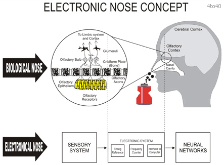 Explaining How an E-Nose Works