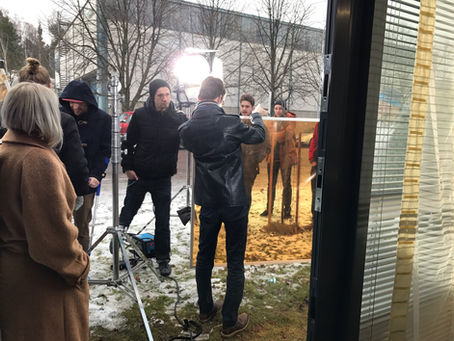 Angel Films - Helsinki