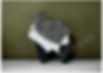 illustration originale animal imaginaire noir et blanc foret verte