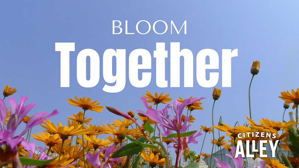 Bloom Together: Container Planting