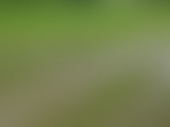 2022/06/02田んぼの除草