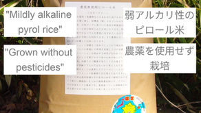 2025/10/16 令和5年産 農薬無使用ピロール米 ミルキークイーン 再販売