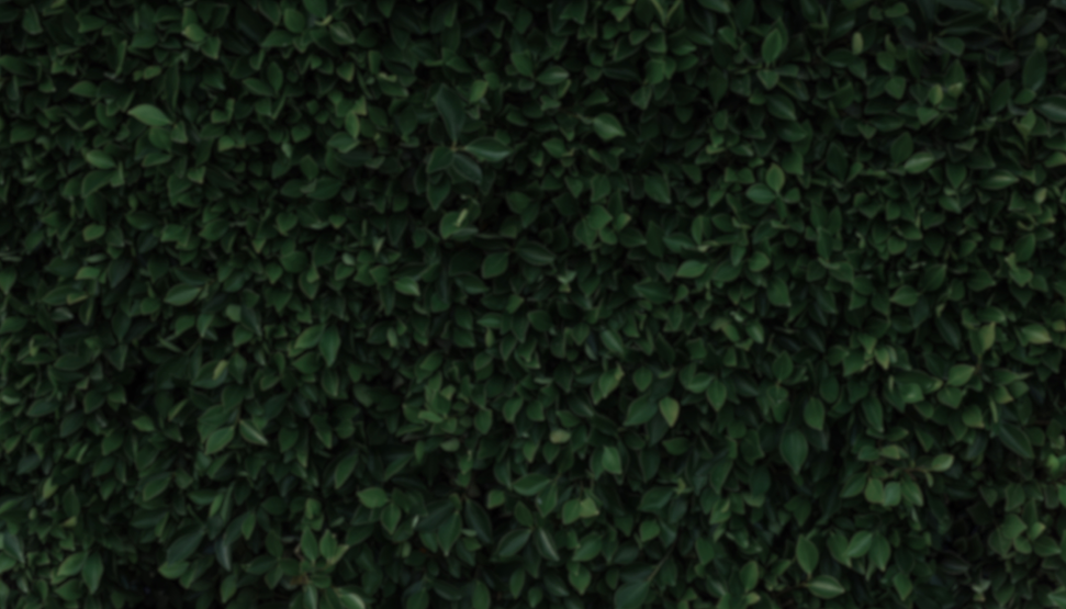 Gownsational logo (2).png