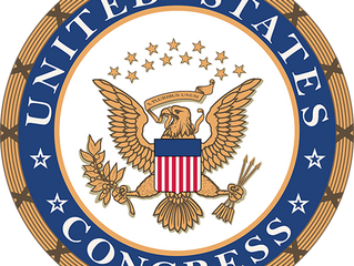 AAS-A Joins NGOs To Express Concern For Religious Minorities In Iraq