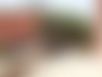 Distributes Food Baskets to the Displaced People