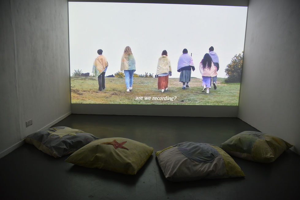 installation view