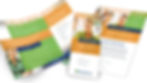 Brochure and Service Flyer