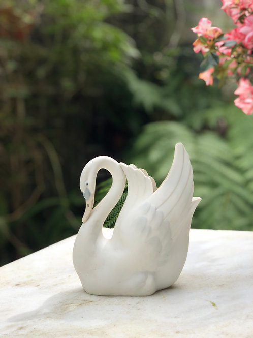 Cisne Porcelana