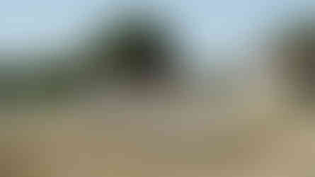 Mauroux maison de lunel occitaine france wedding photographer groom getting ready