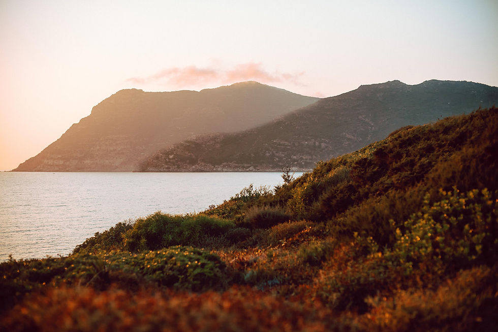 Professional Photographer Sardinia Wedding photographer Sardinia Alghero | fotografo matrimonio sardegna | sardinia portrait photographer | ritratti