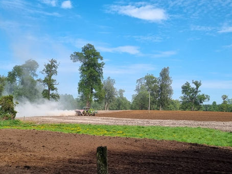Estudio de validación técnica Cal Agrícola Catamutun 2017-2018