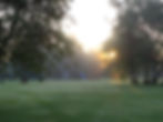 DSC07205