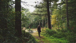 Walking by Faith: Moses – When the Wilderness Builds Your Faith