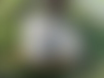 Niedziela Antypaschy