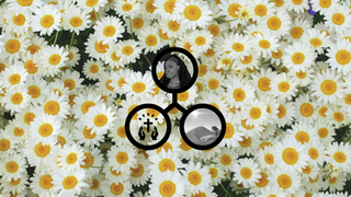 Meet Our Chamomile, Eniola.