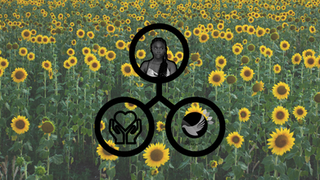 Meet Our Sunflower, Naomi.