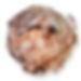 PB Hearts Chocolate