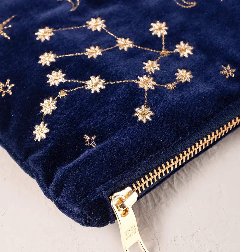 Thumbnail: Gemini zodiac everyday pouch - Elizabeth Scarlet