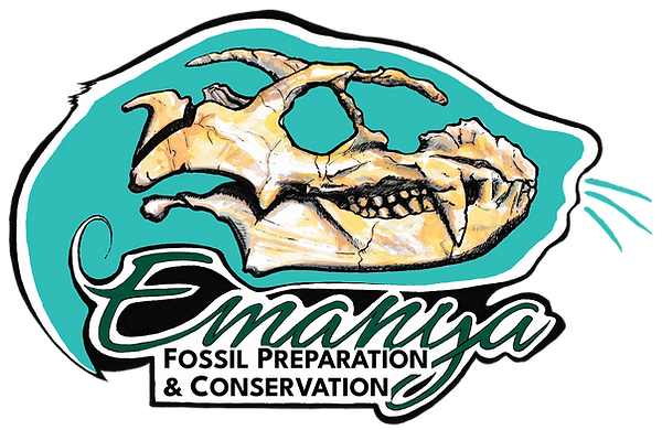 Logo.png