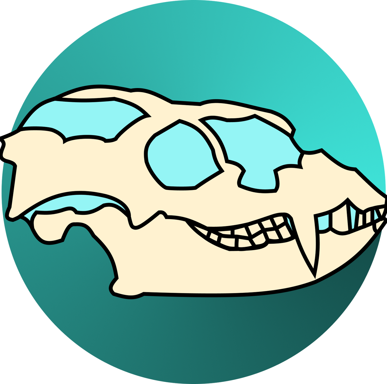 Fossil preparation conservation emanya fossil prep sheffield uk