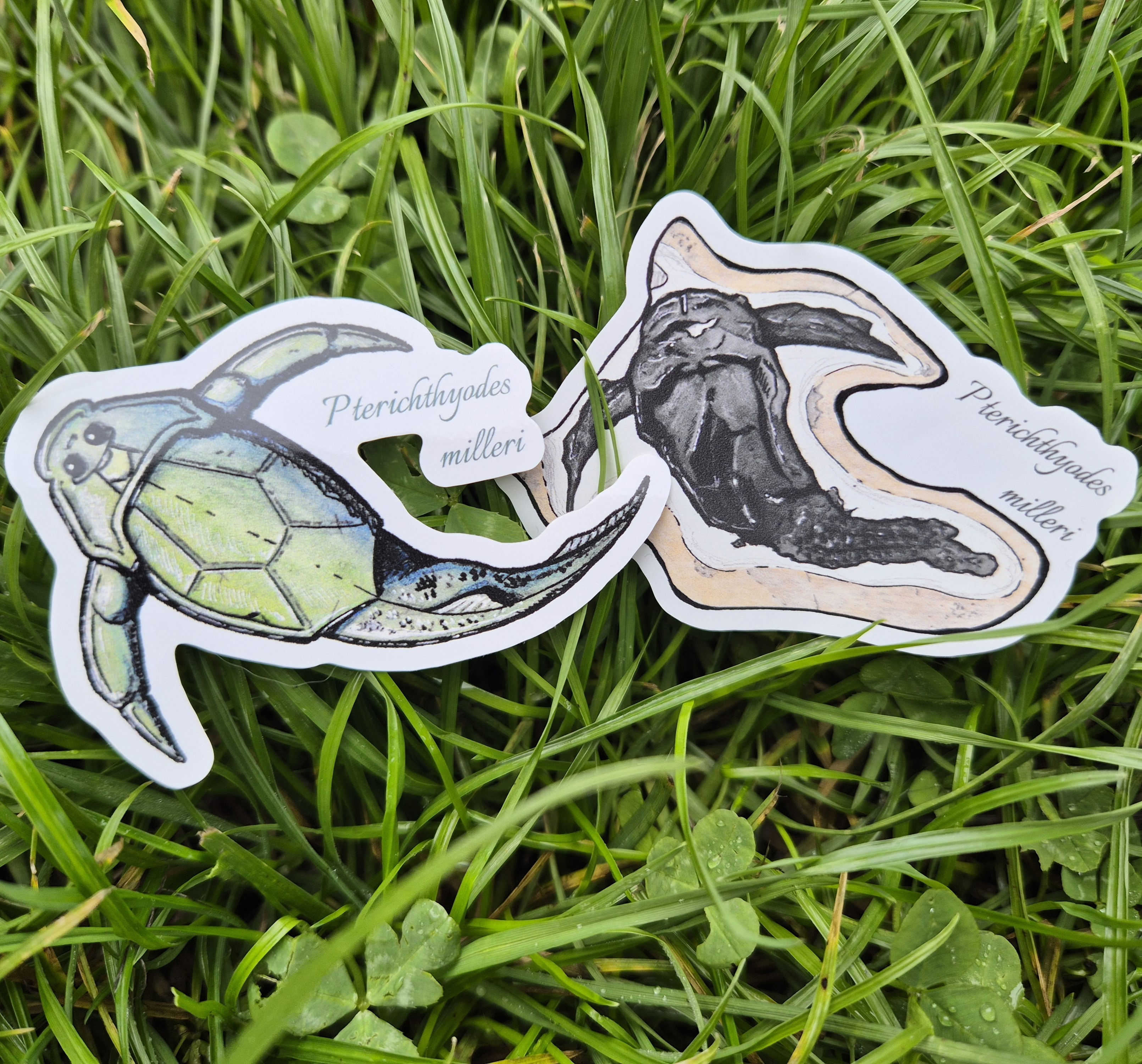 Pterry (Pterichthyodes milleri) - Sticker
