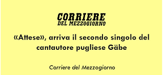 Immagine11.png