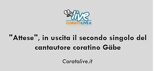 Immagine12.png
