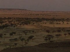 In the Australian landscape, isolation is not just physical—it shapes identity, memory, and the experience of starting again.