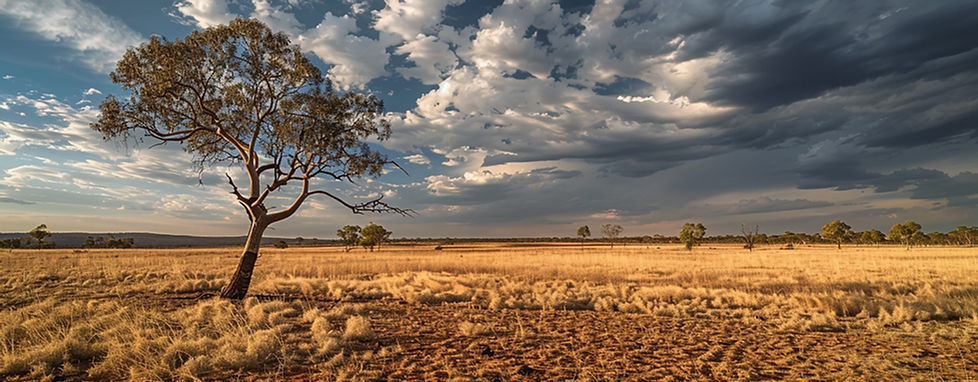 vecteezy_arid-savannah-landscape_49975735.jpg