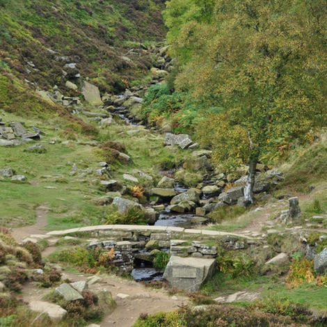 DSC_1361.JPG