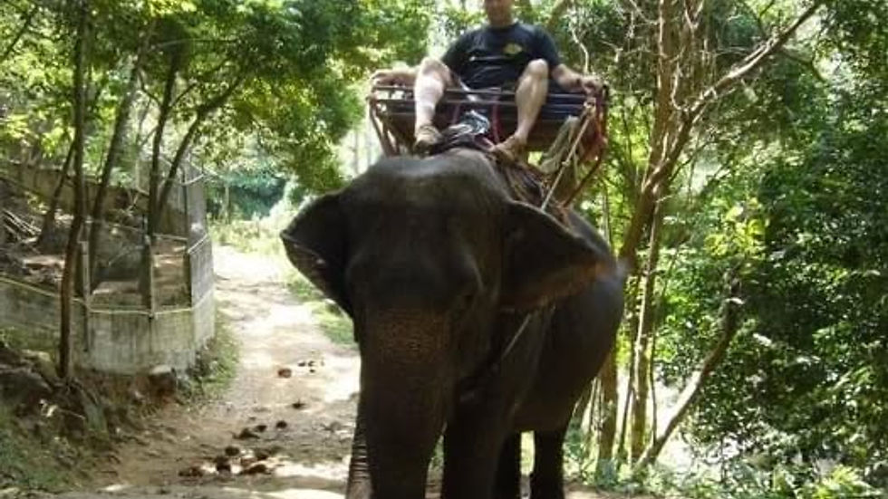 Paul Rushworth-Brown riding an elephant along a forest track surrounded by tropical vegetation.