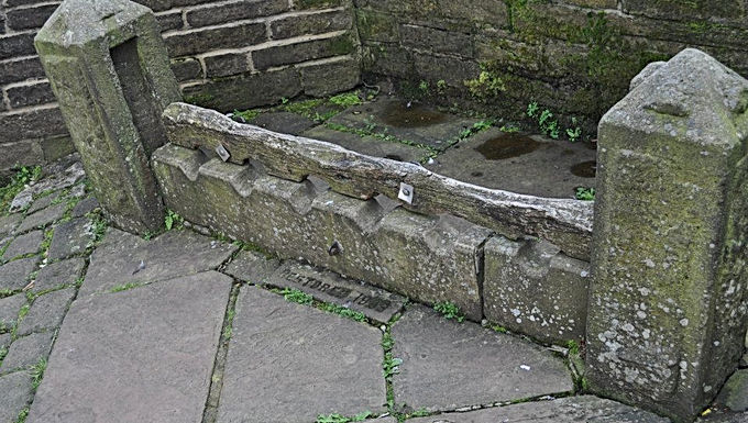 यॉर्कशायर चोर लेने वाला अपराधी या पुलिस?