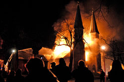 0319 st louis burns 20x30.jpg