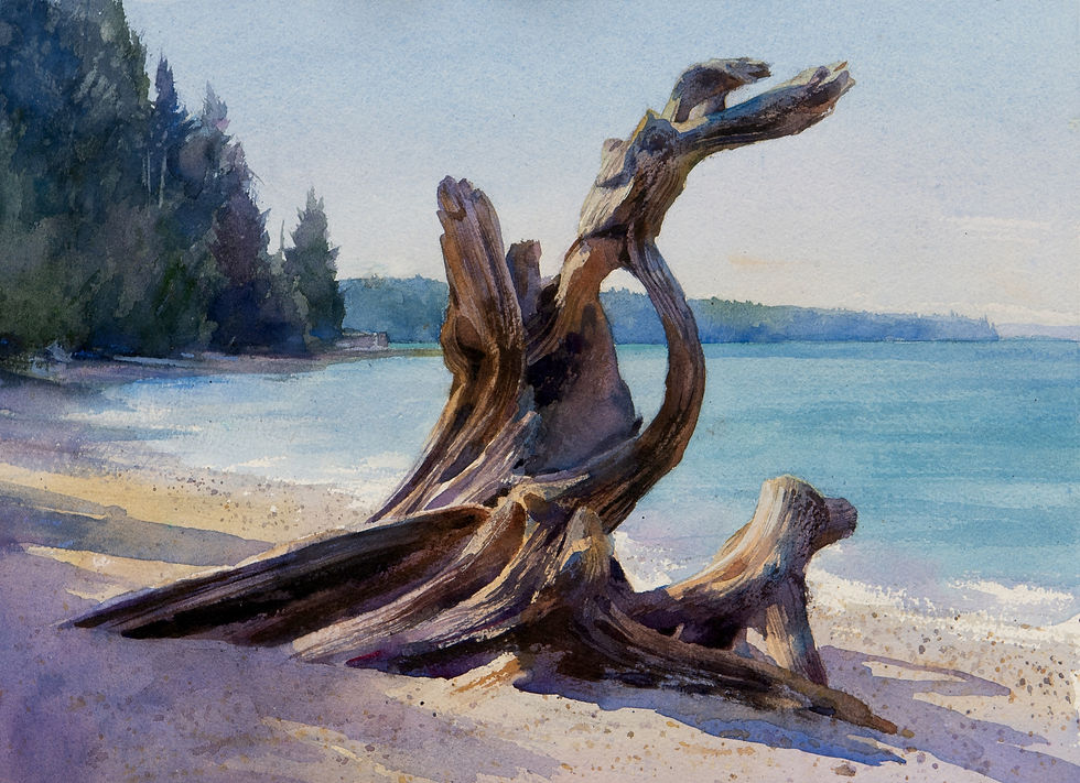 "Langley Beach Driftwood 3"