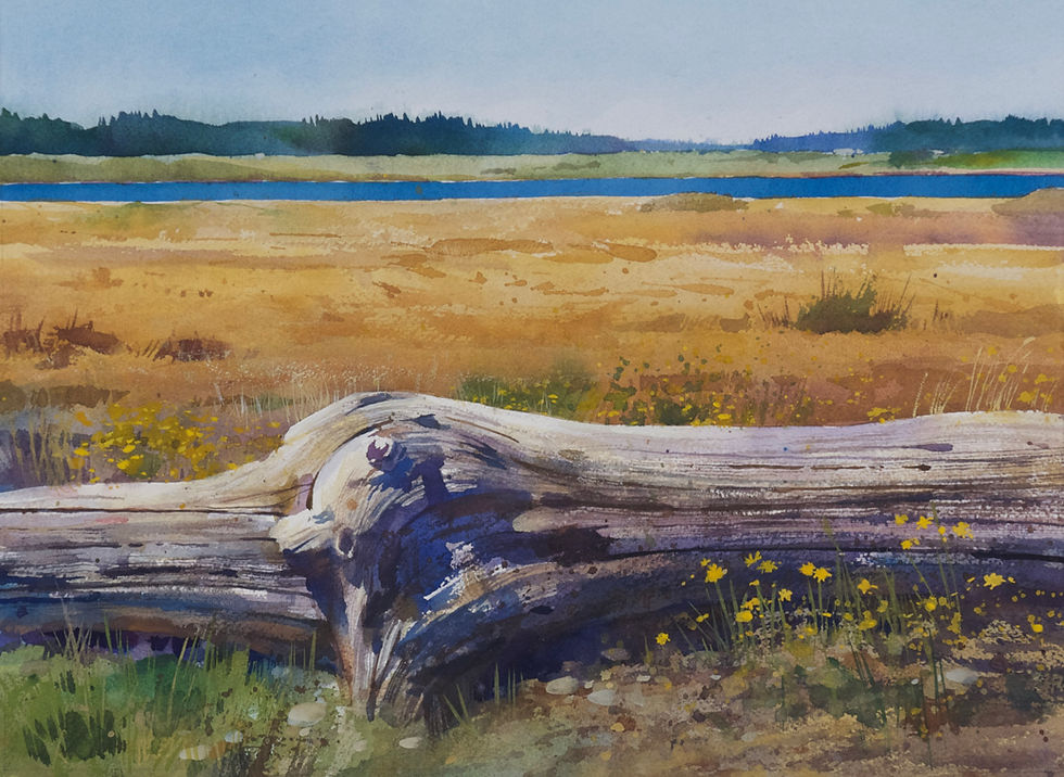 "Driftwood Park"