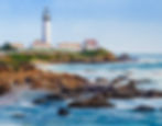 "Pigeon Point Lighthouse"