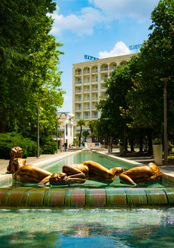 fontana bimbi 0