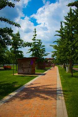 parco Paul Harris 0