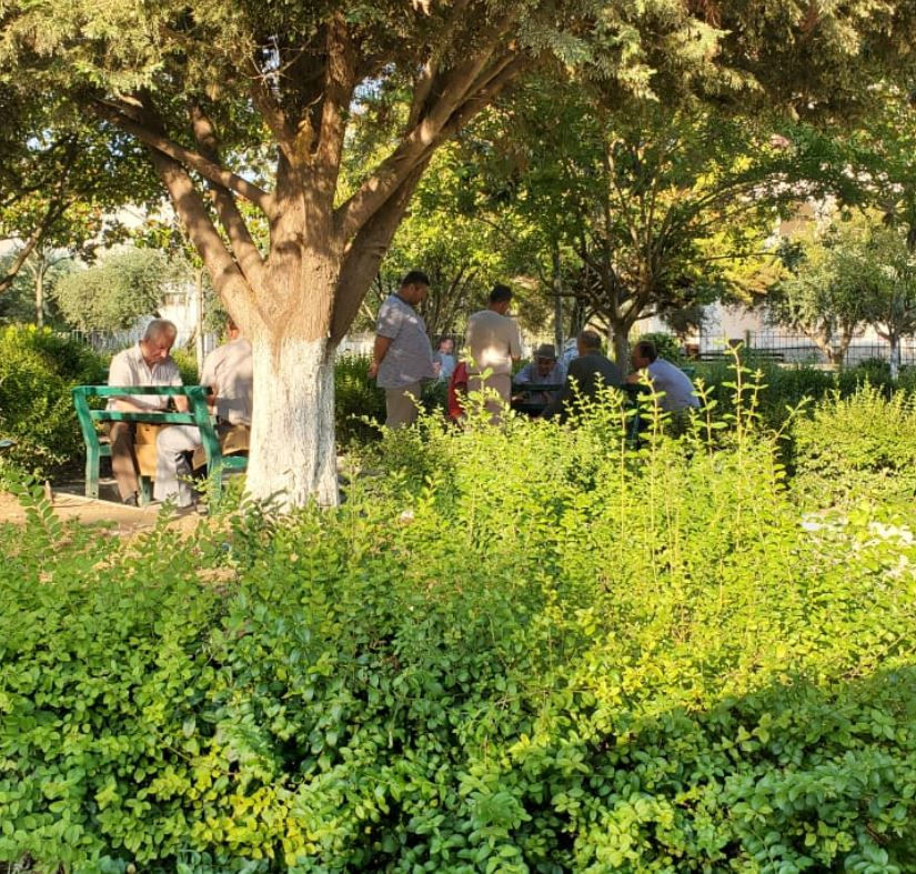 Seniors in Peqin playing cards