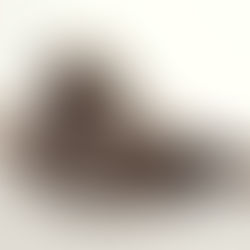 Vetor Interviews: Andras_2020