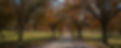 M8_Eu62M_edited.jpg