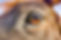 PSX_20241026_180443.jpg